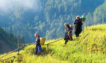 Sa Pa Trekking 2d/1n Homestay by Day Bus